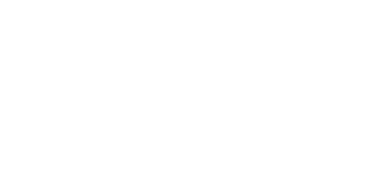project logo